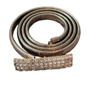 VTG Gold Snake Chain Belt Rhinestone Buckle Tubogas